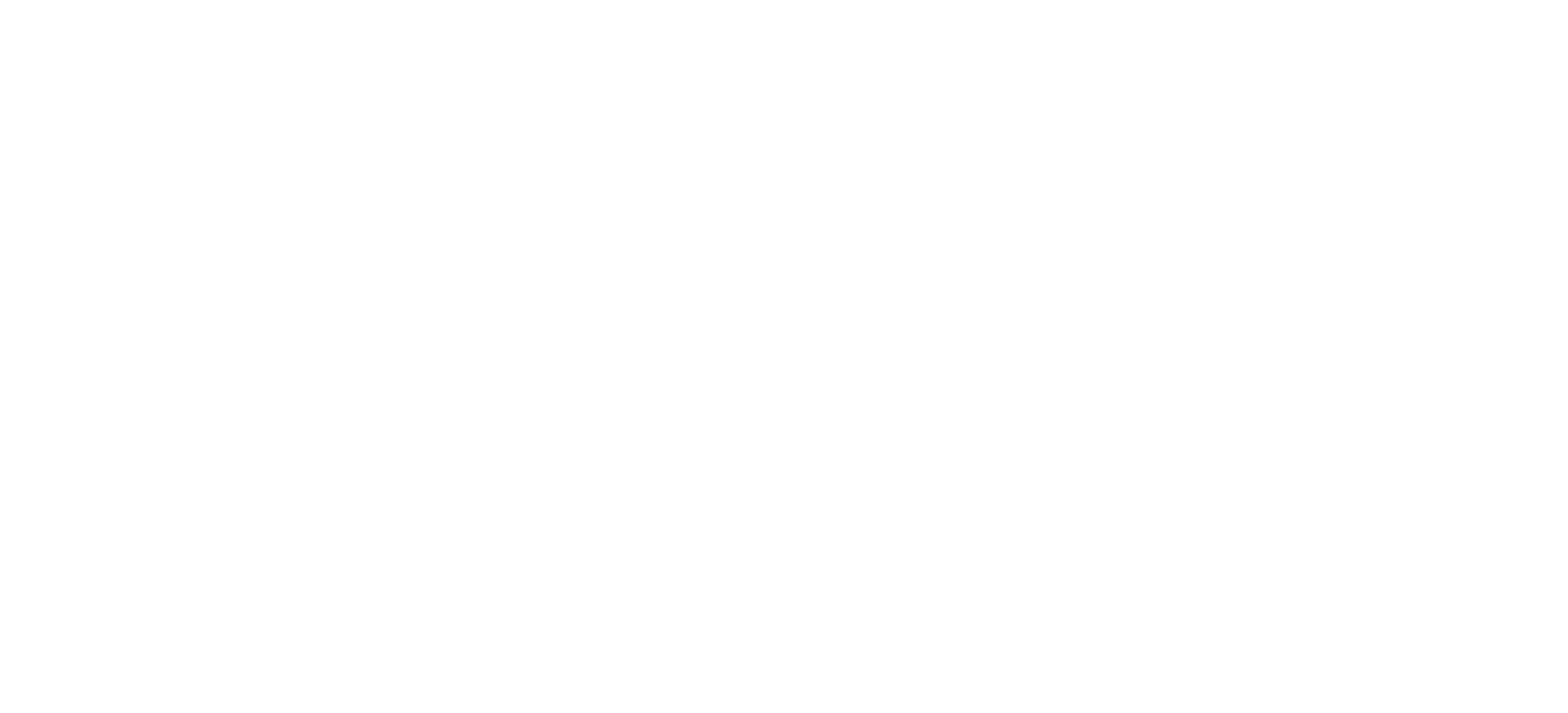net-pattern-white